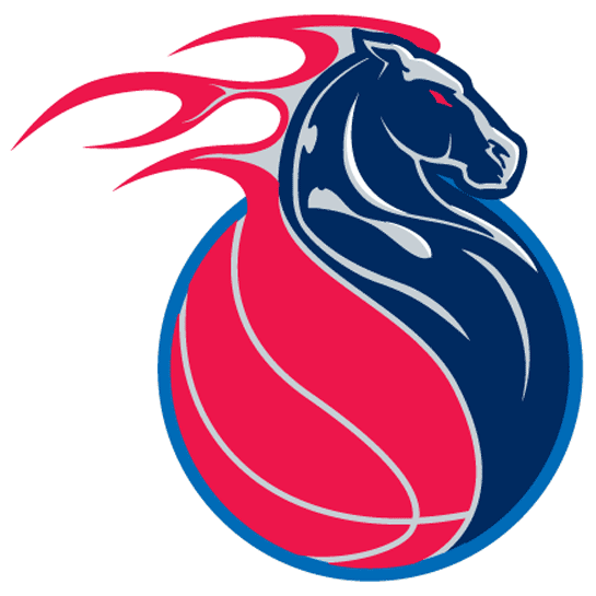 Detroit Pistons 2001-2005 Alternate Logo v2 DIY iron on transfer (heat transfer)